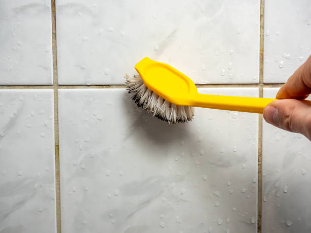 Best Home Mold Removal  in Mountain House, CA
