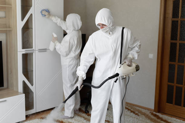 Professional Mold Removal in Mountain House, CA