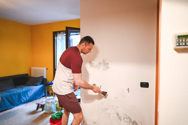 Best Office Mold Removal Services  in Mountain House, CA