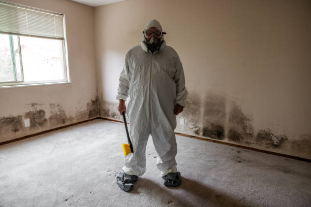 Best Crawl Space Mold Removal  in Mountain House, CA